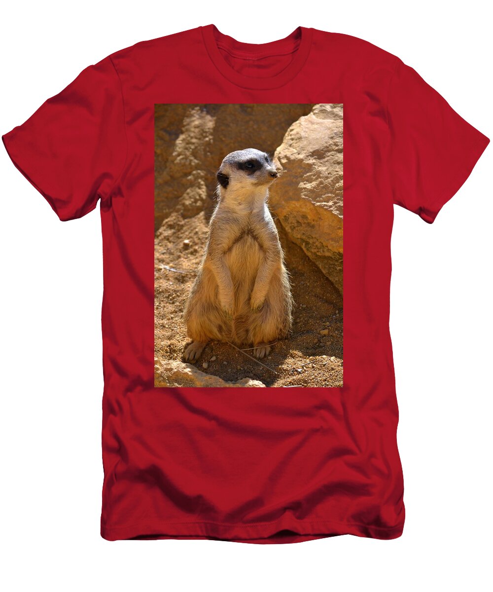 Meerkat 2 Les Classics T-Shirt