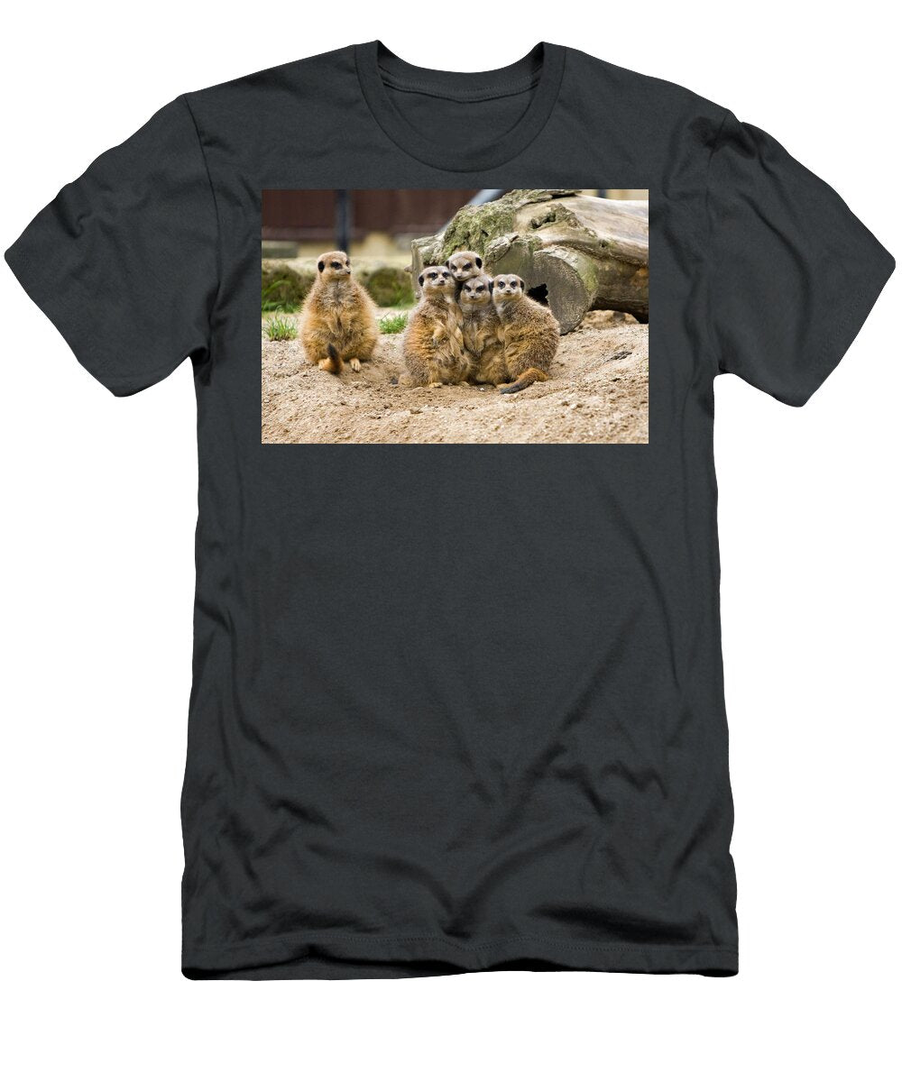Meerkat Family Group Les Classics T-Shirt