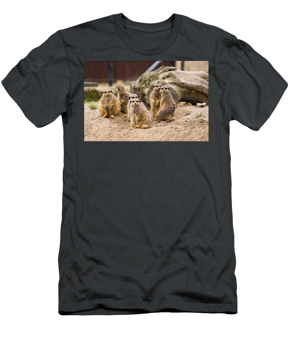 Meerkat Family Les Classics T-Shirt