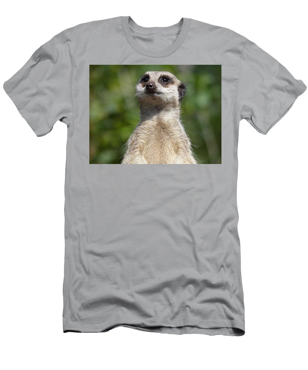 Meerkat K3 Les Classics T-Shirt