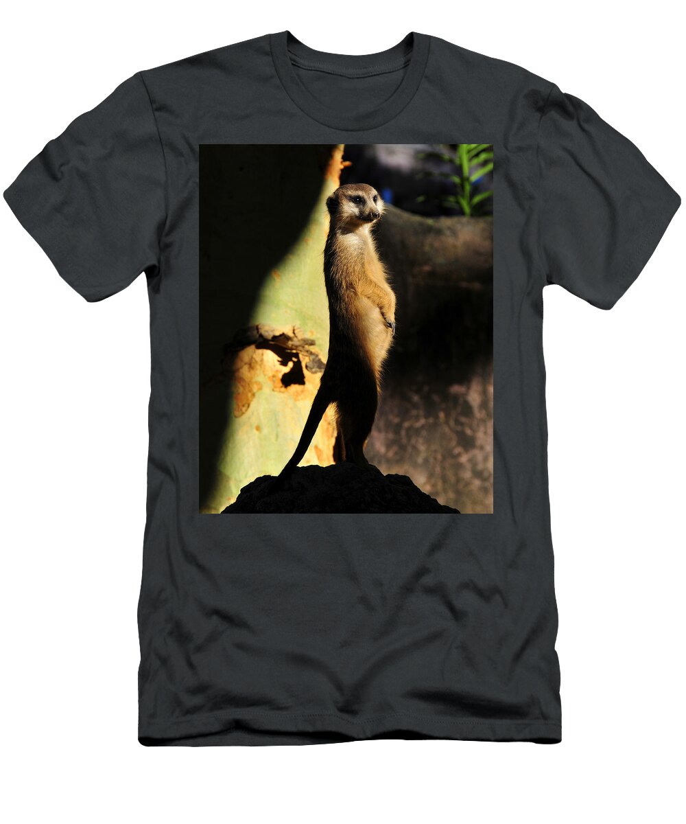 Meerkat Look Out David Lee Thompson T-Shirt