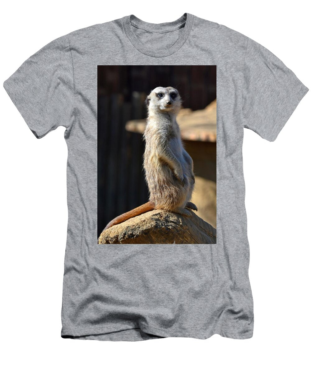 Meerkat Lookout Les Classics T-Shirt