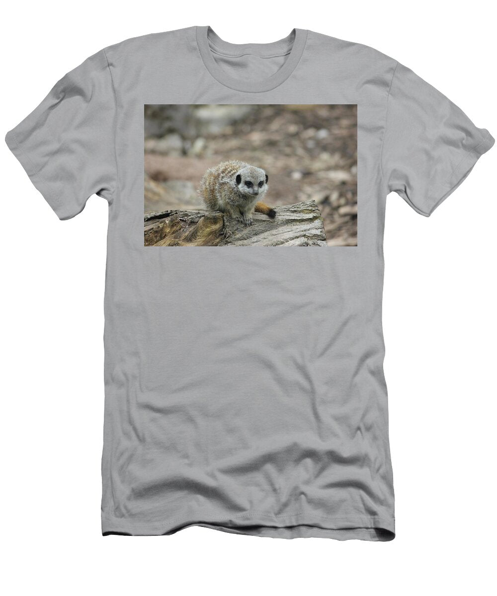 Meerkat on a Log Les Classics T-Shirt