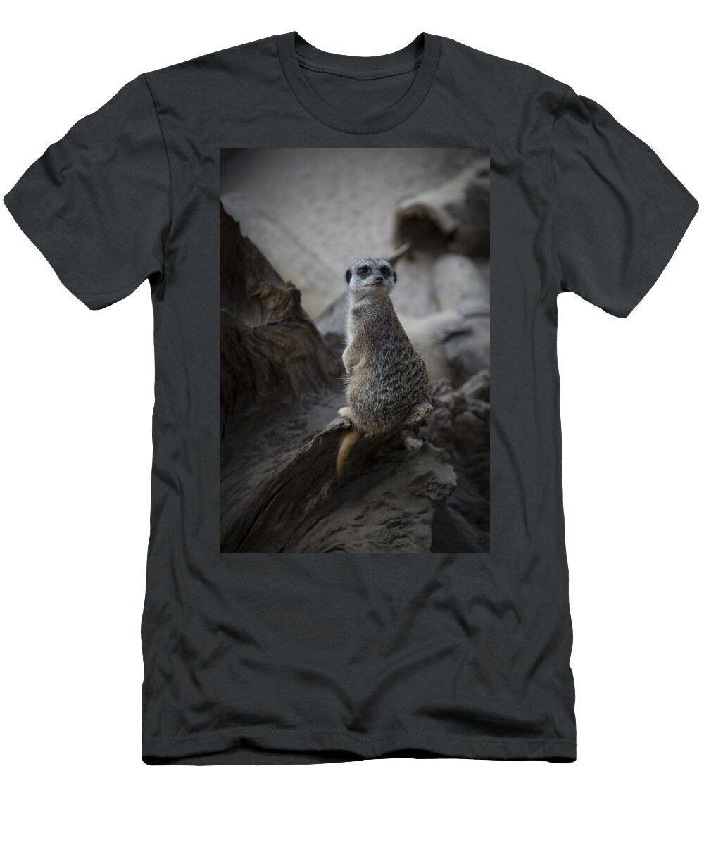 Meerkat or Suricate F2 Les Classics T-Shirt