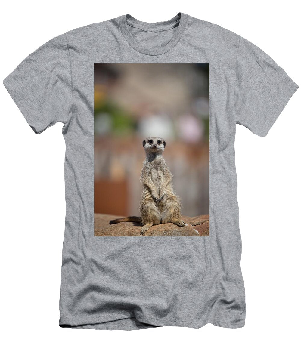 Meerkat or Surikate Les Classics T-Shirt