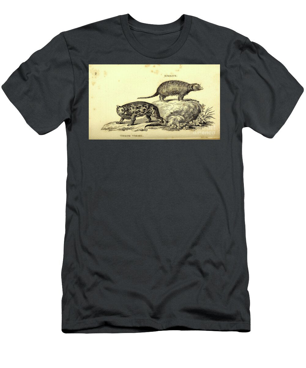 Meerkat Suricate and Weasel P1 Historic Illustrations T-Shirt
