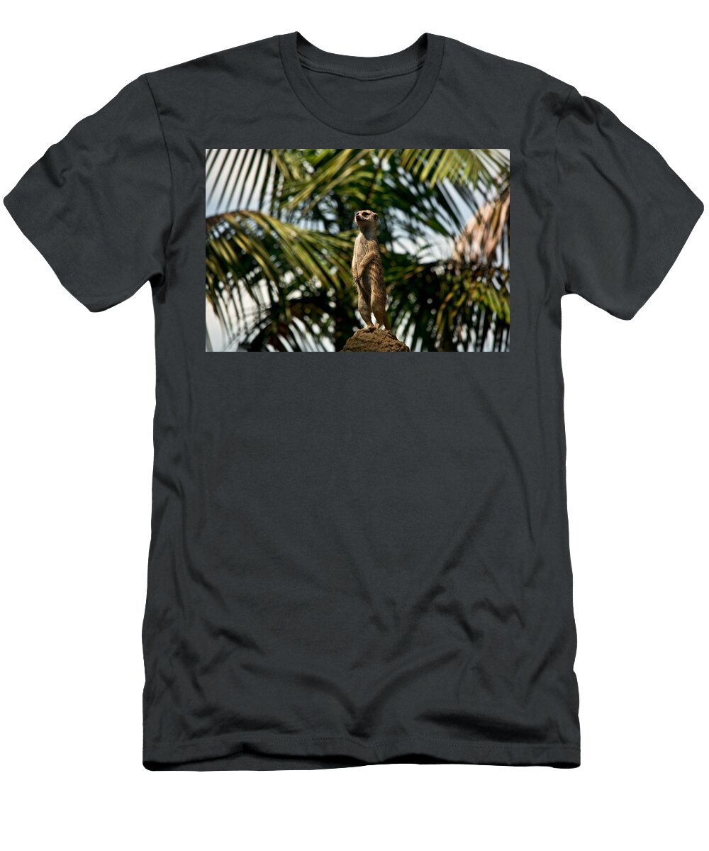 Meerkat W7 Les Classics T-Shirt