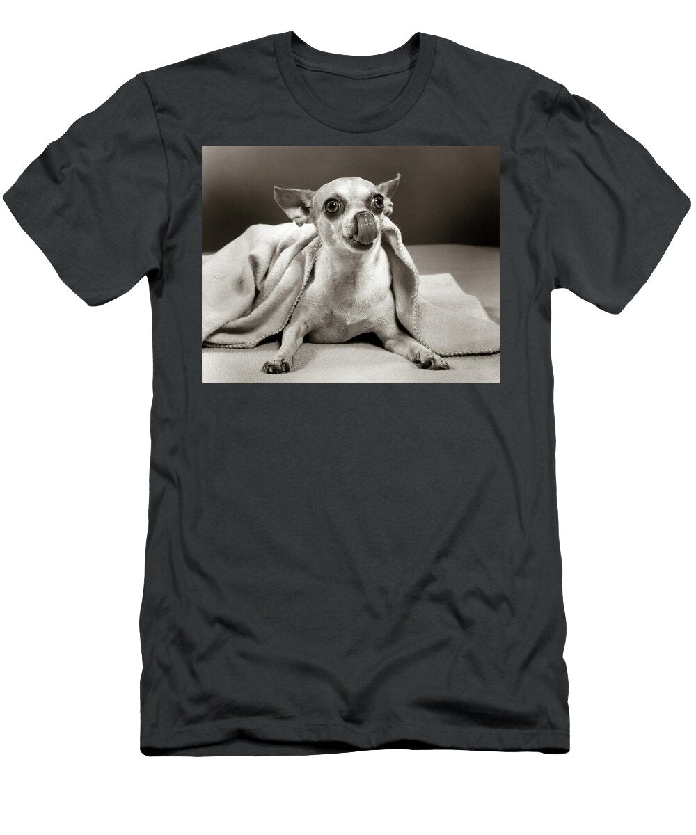 Mexican Chihuahua Dog Under Blanket Animal Images T-Shirt