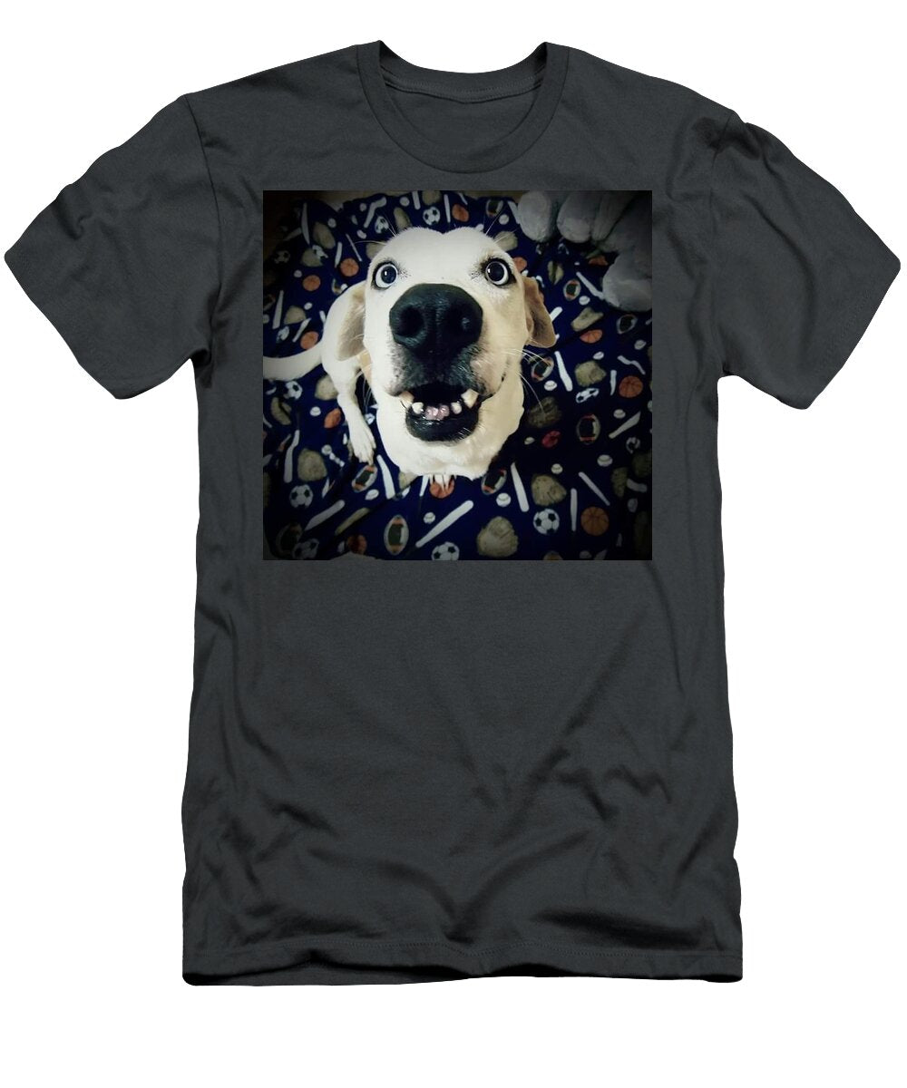 Milo the Basset Brandi Tye T-Shirt