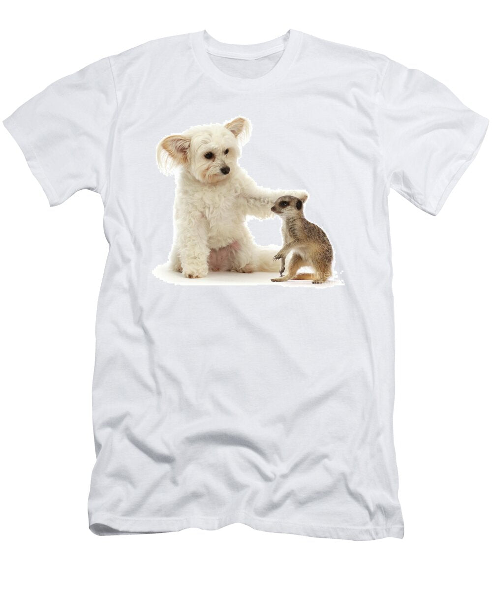 My Meerkat Friend Warren Photographic T-Shirt