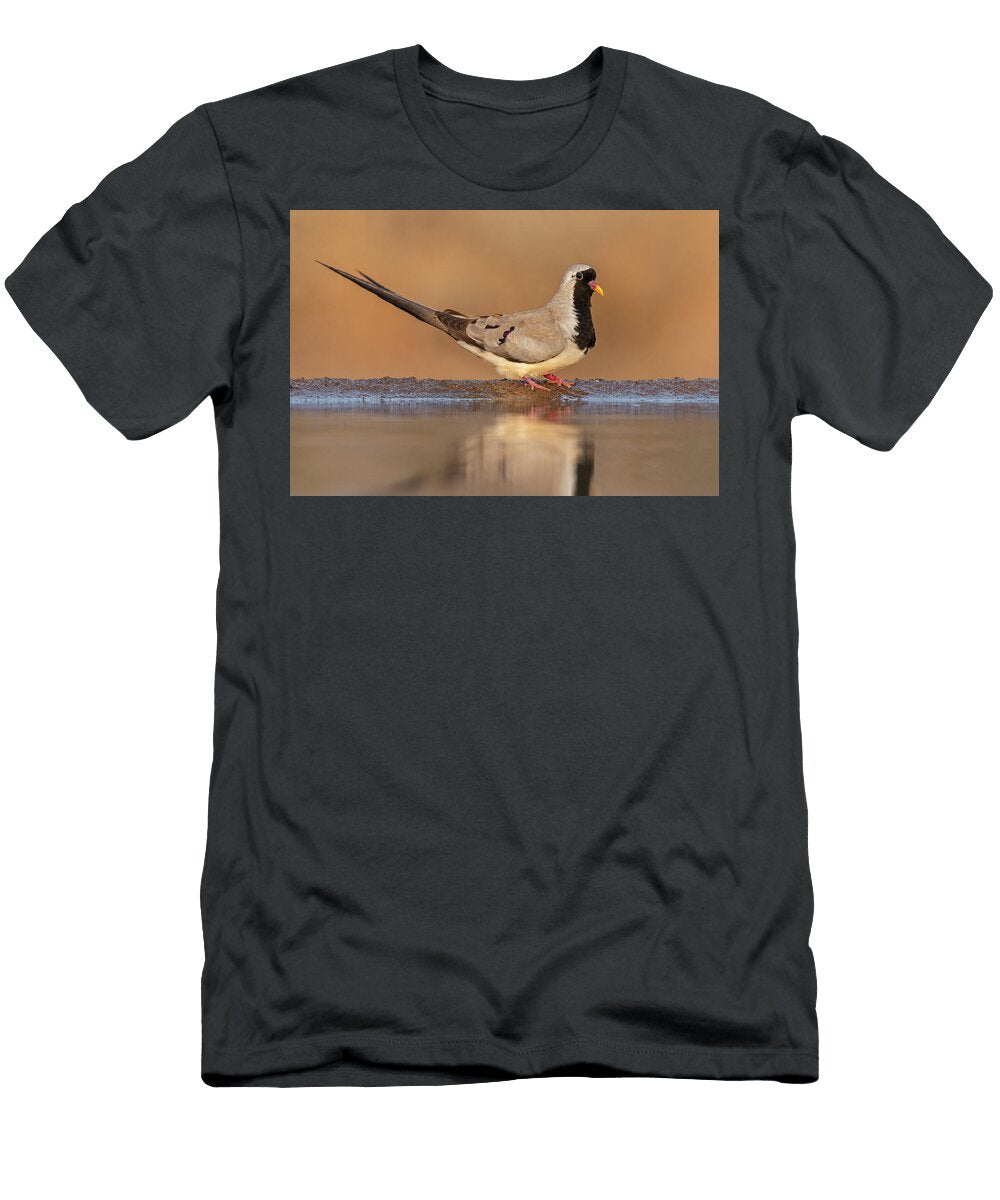 Namaqua Dove At Water Zimanga Private Game Reserve Ann Steve Toon Natureplcom T-Shirt