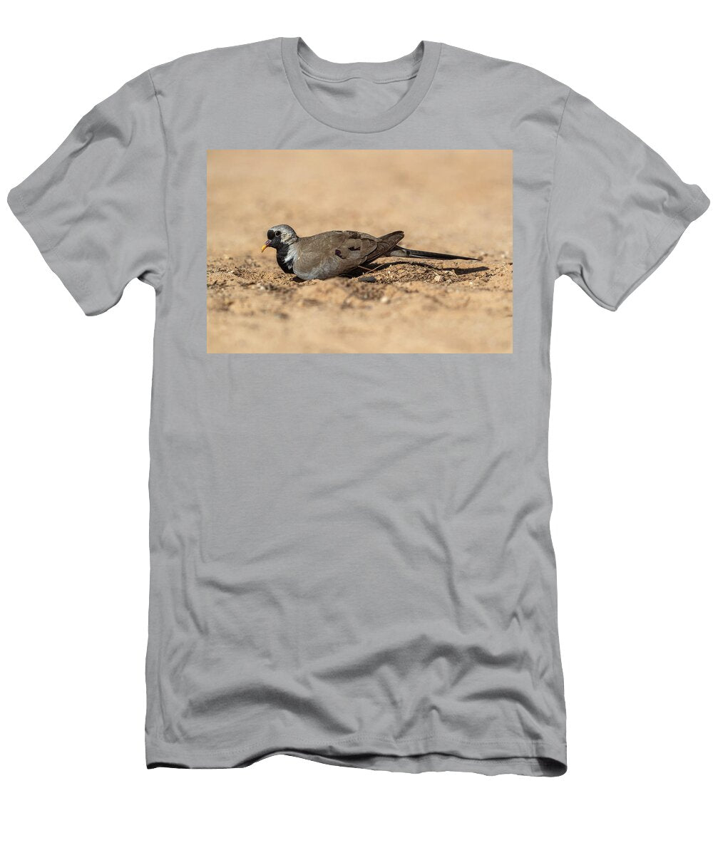 Namaqua Dove Kgalagadi Transfrontier Park South Ann Steve Toon Natureplcom T-Shirt