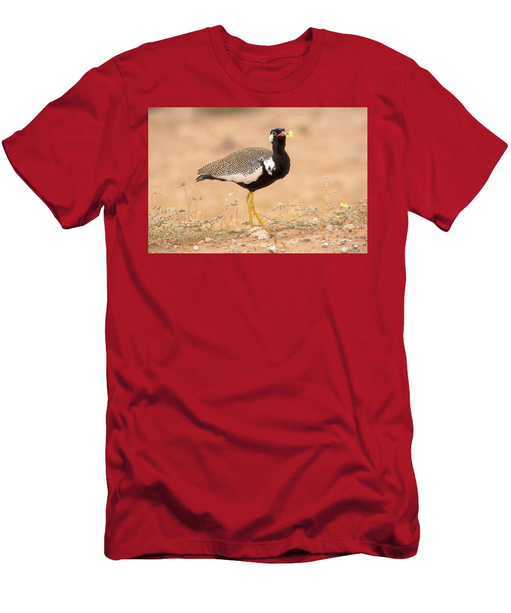 Northern Black Korhaan Eating Devils Thorn Flower Ann Steve Toon Natureplcom T-Shirt