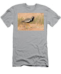 Northern Black Korhaan Kgalagadi Transfrontier Park South Ann Steve Toon Natureplcom T-Shirt