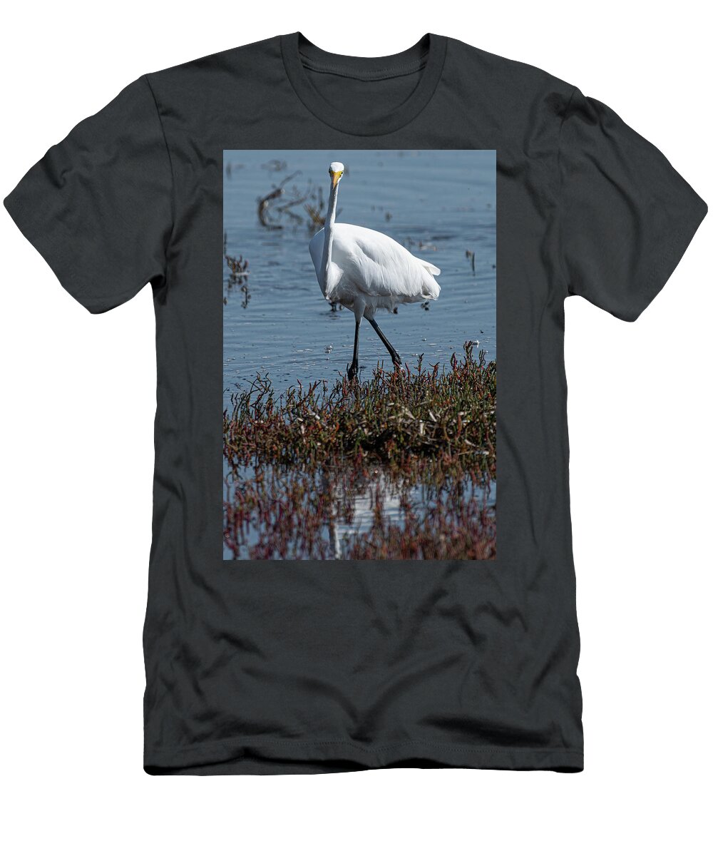 Now a Goofy One Brian Morefield Prose Imagery T-Shirt