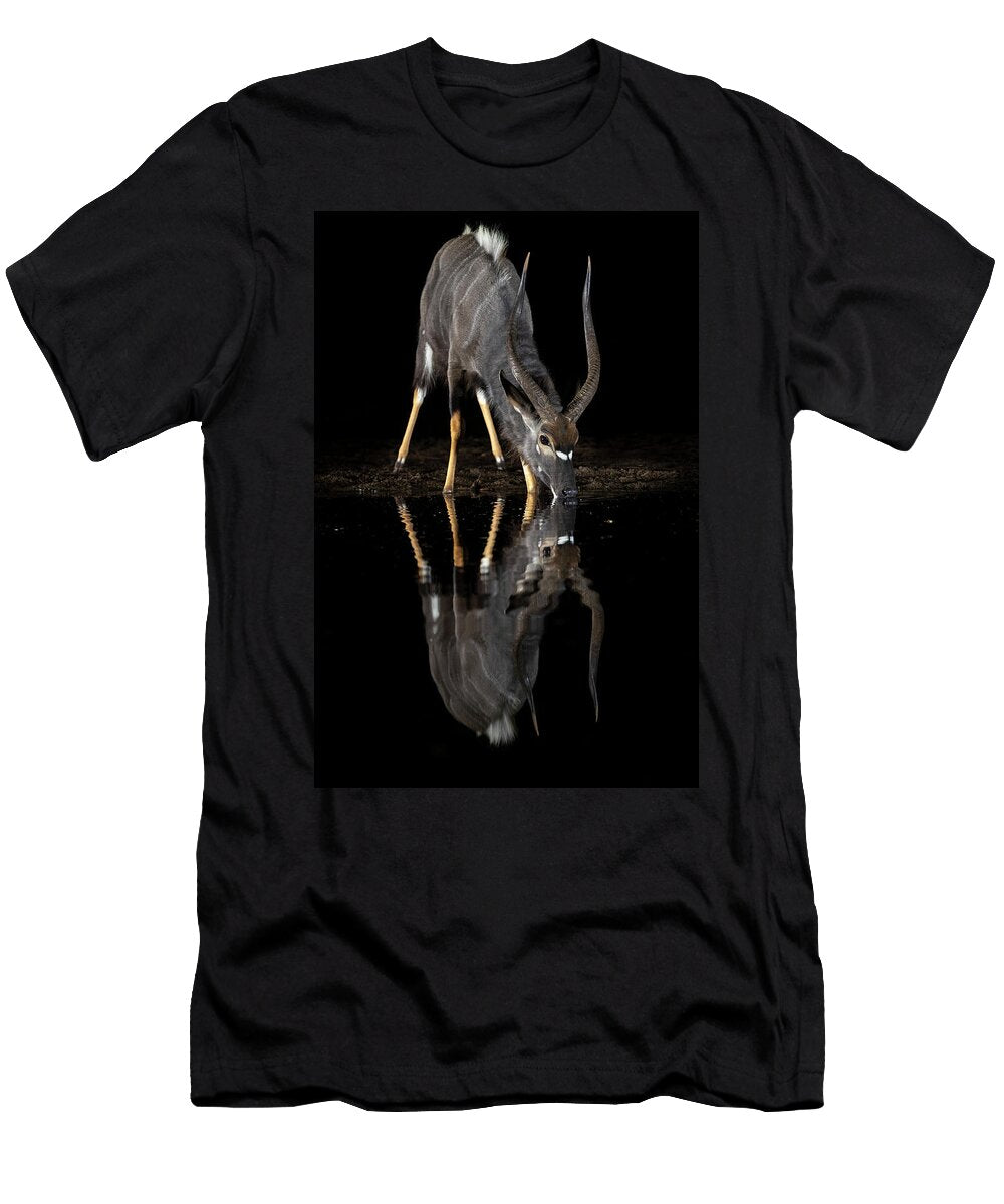 Nyala Male At Water At Night Zimanga Private Game Reserve Ann Steve Toon Natureplcom T-Shirt