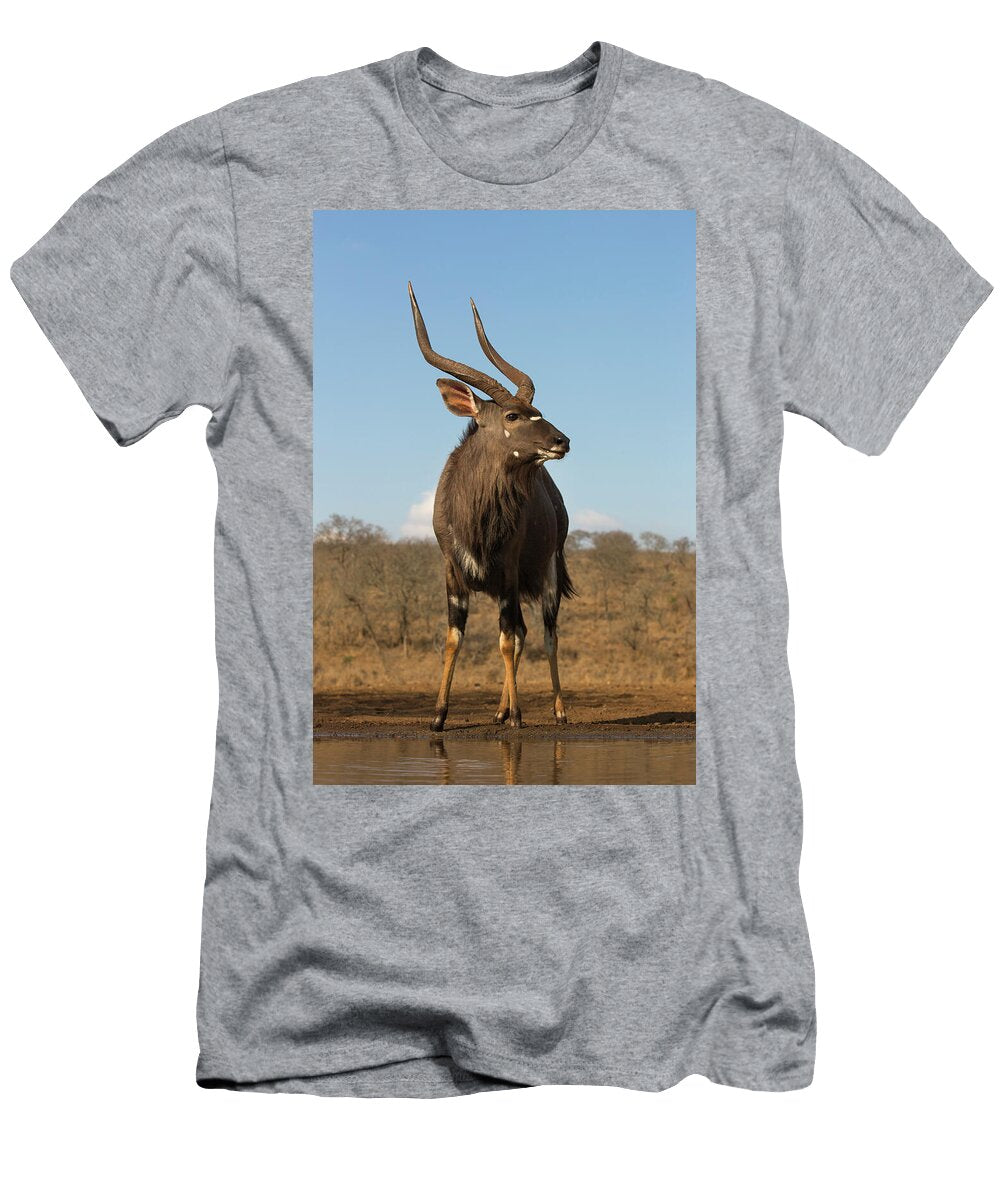 Nyala Male At Water Zimanga Private Game Reserve Ann Steve Toon Natureplcom T-Shirt