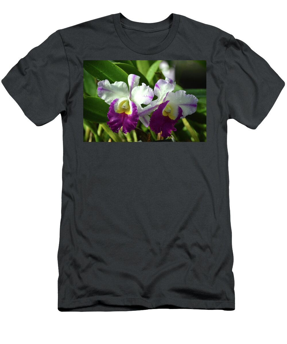 Orchids Ed Madden T-Shirt