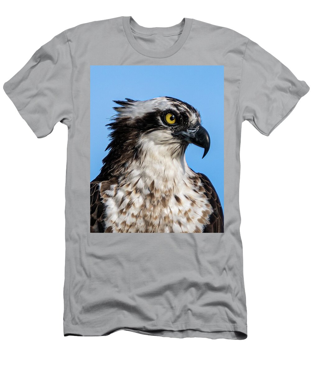 Osprey Lenin Ramachandran T-Shirt