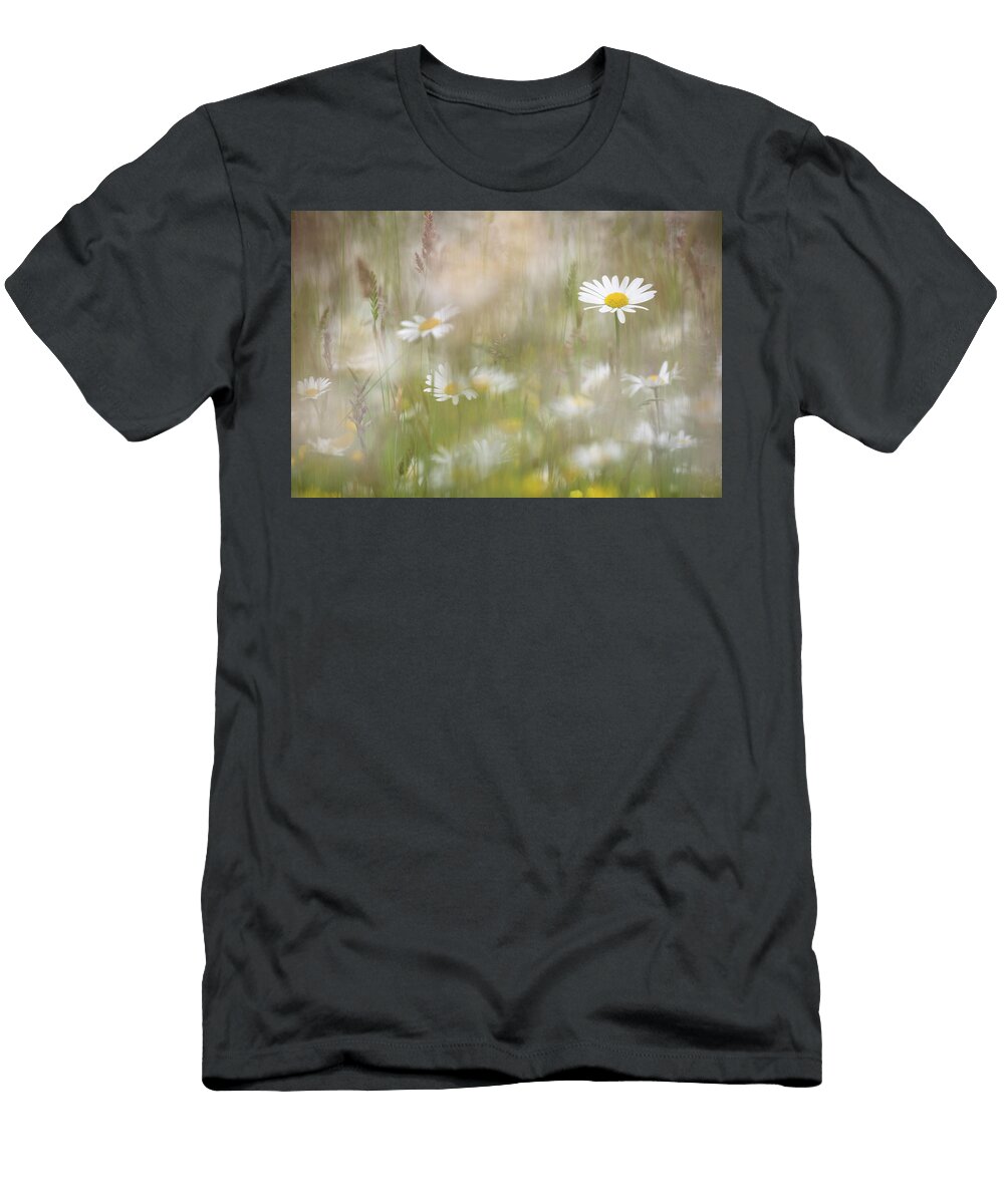 Oxeye Daisies Flowering in Upland Hay Meadow Ann Steve Toon Natureplcom T-Shirt