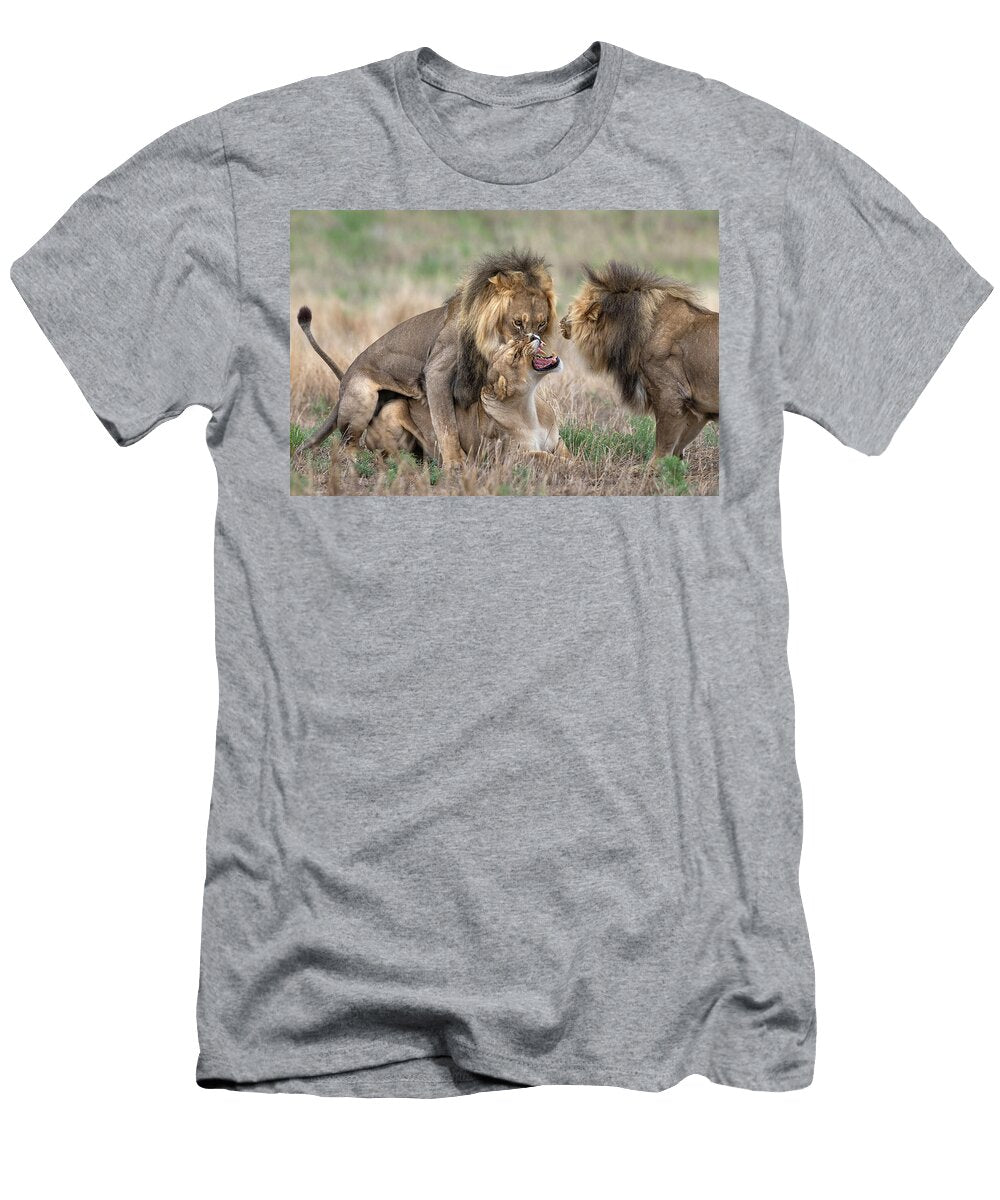 Pair of Lions Mating with Males Brother Watching Ann Steve Toon Natureplcom T-Shirt
