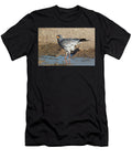 Pale Chanting Goshawk At Water Kgalagadi Transfrontier Ann Steve Toon Natureplcom T-Shirt