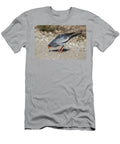 Pale Chanting Goshawk Eating Termites Kgalagadi Ann Steve Toon Natureplcom T-Shirt