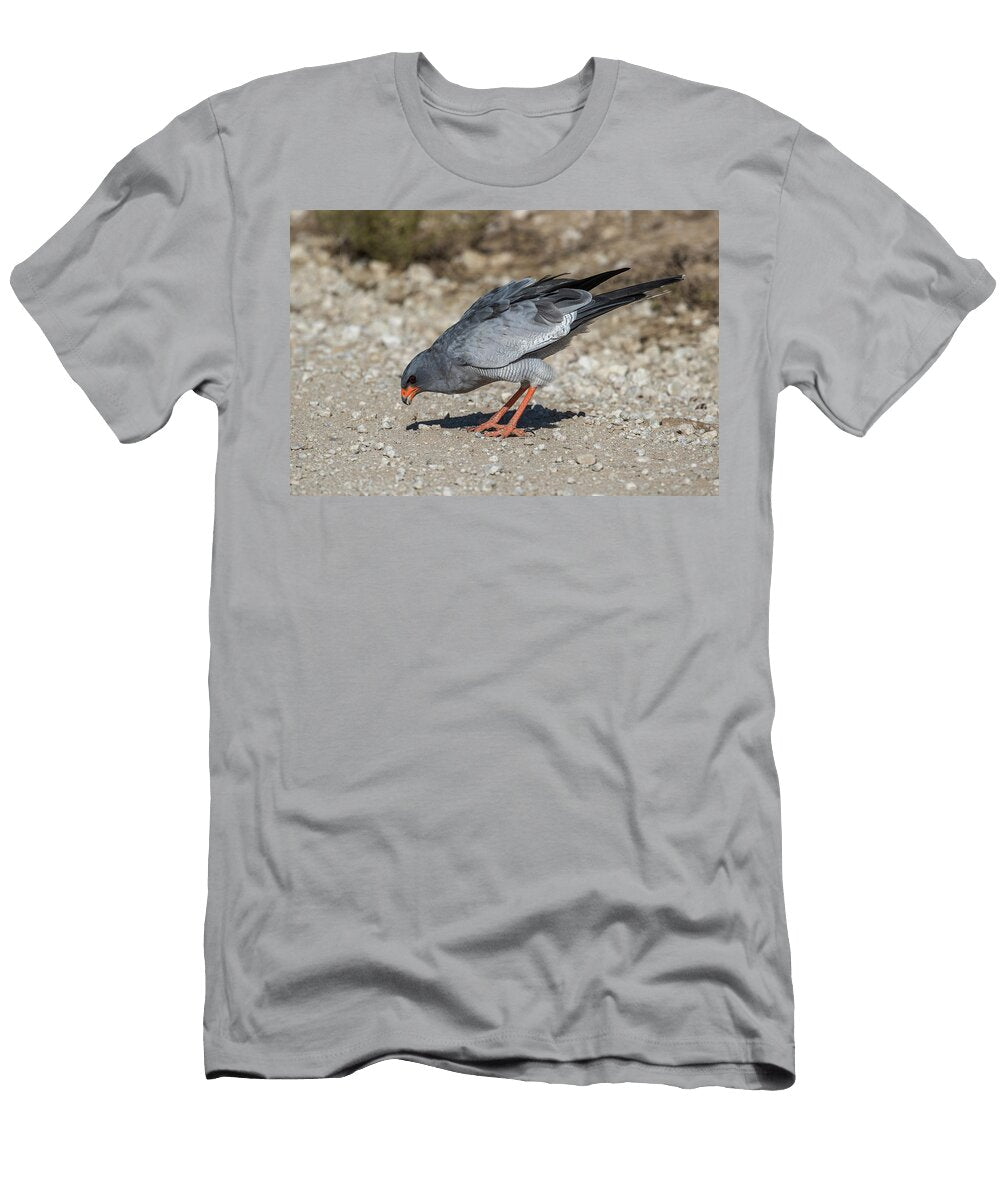 Pale Chanting Goshawk Eating Termites Kgalagadi Ann Steve Toon Natureplcom T-Shirt
