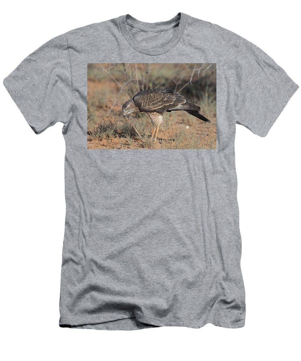 Pale Chanting Goshawk Juvenile Feeding on Puff Adder Prey Ann Steve Toon Natureplcom T-Shirt