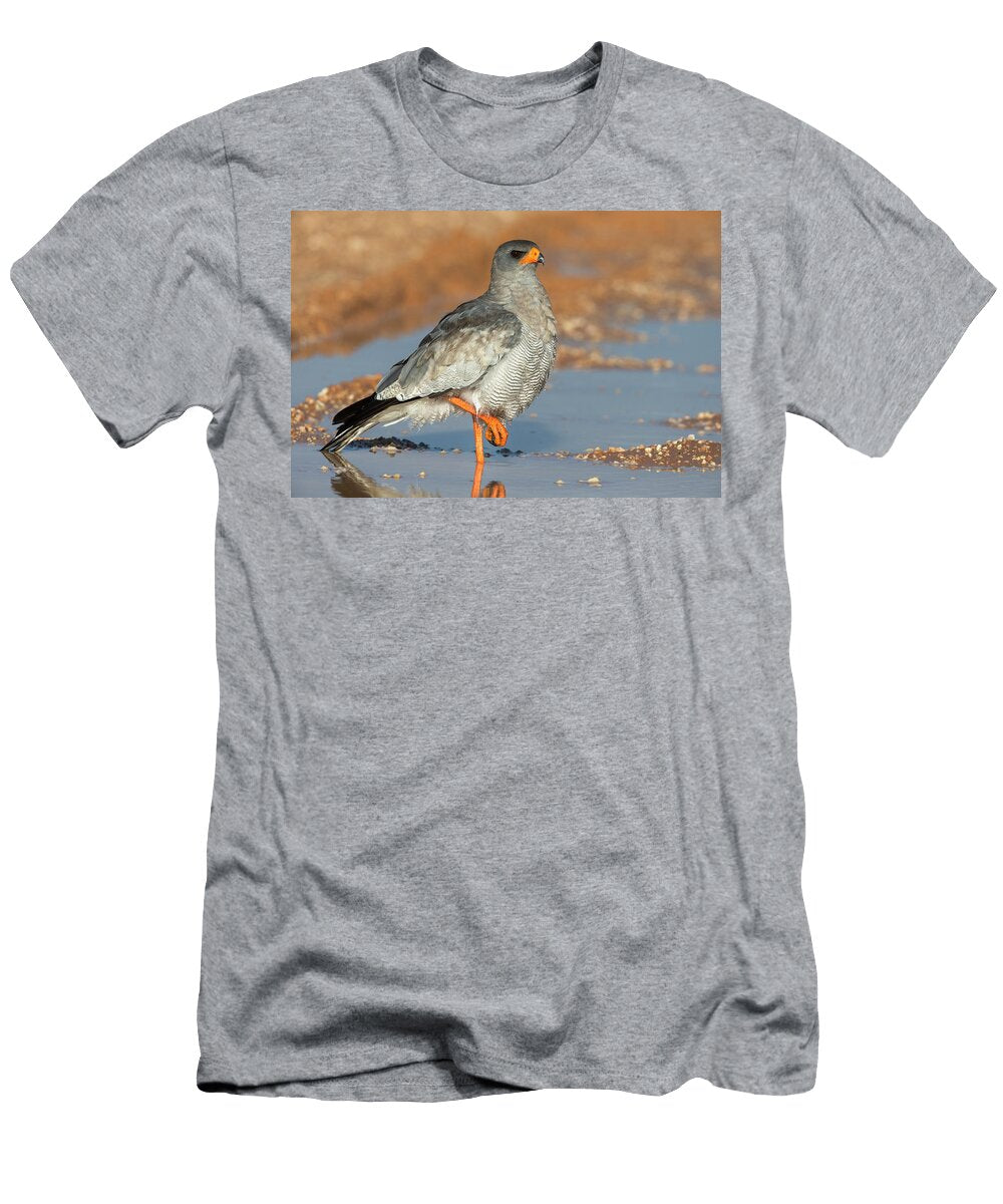 Pale Chanting Goshawk Standing in a Puddle After the Rain Ann Steve Toon Natureplcom T-Shirt
