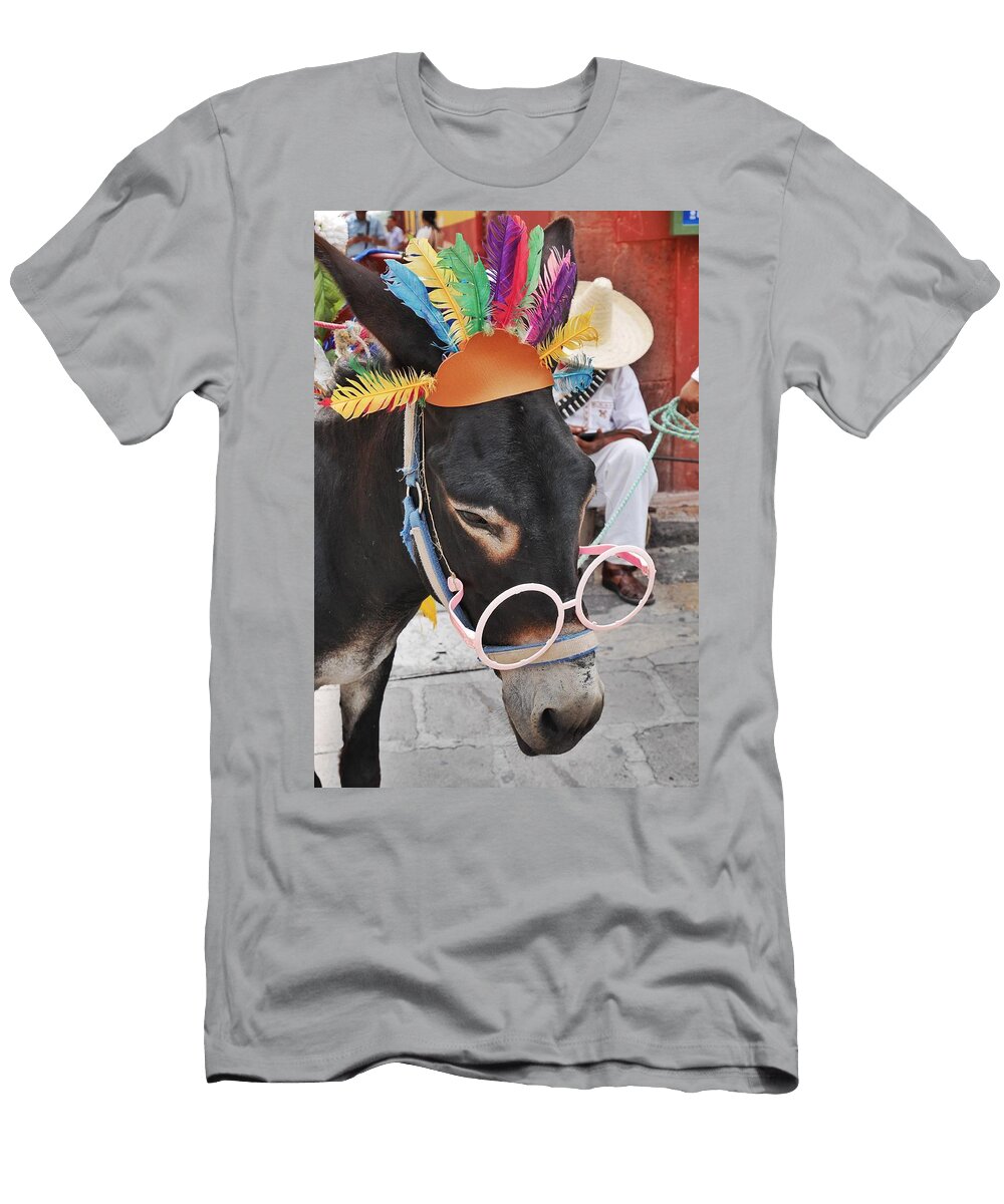 Party Burro in Mexico Steffani Cameron T-Shirt