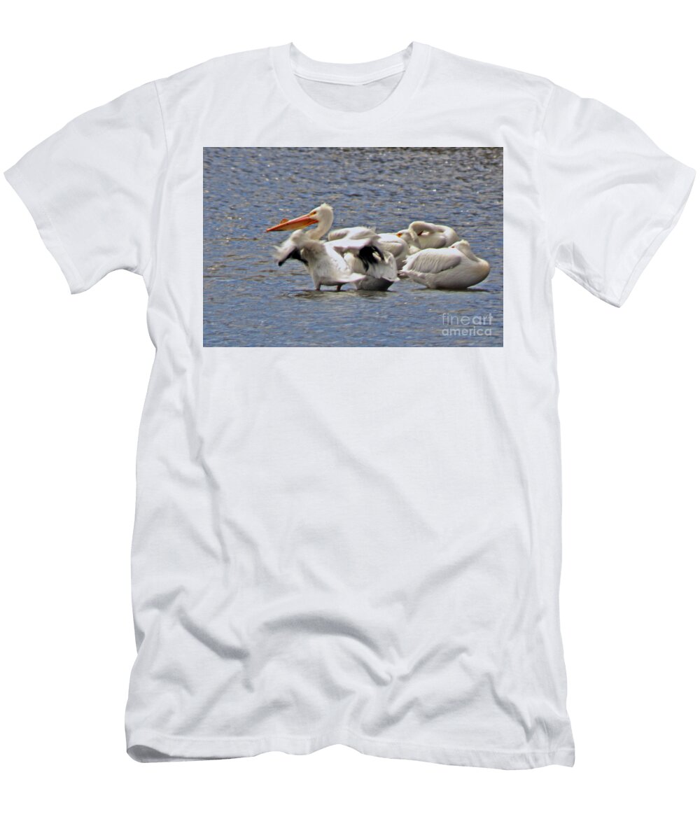 Pelican Afternoon Stretch Laura Birr Brown T-Shirt