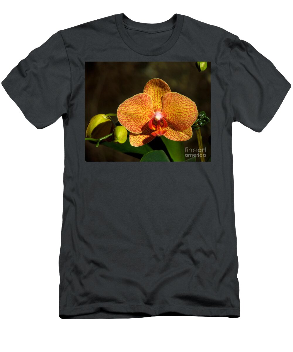 Phalaenopsis Orchid Yellow and Red Renee Trenholm T-Shirt