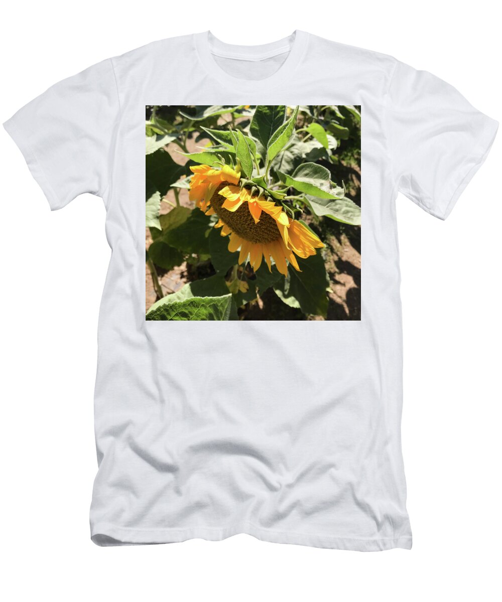 Pictures of You Sunflower Nature Yellow Flower Maribel Salcido T-Shirt