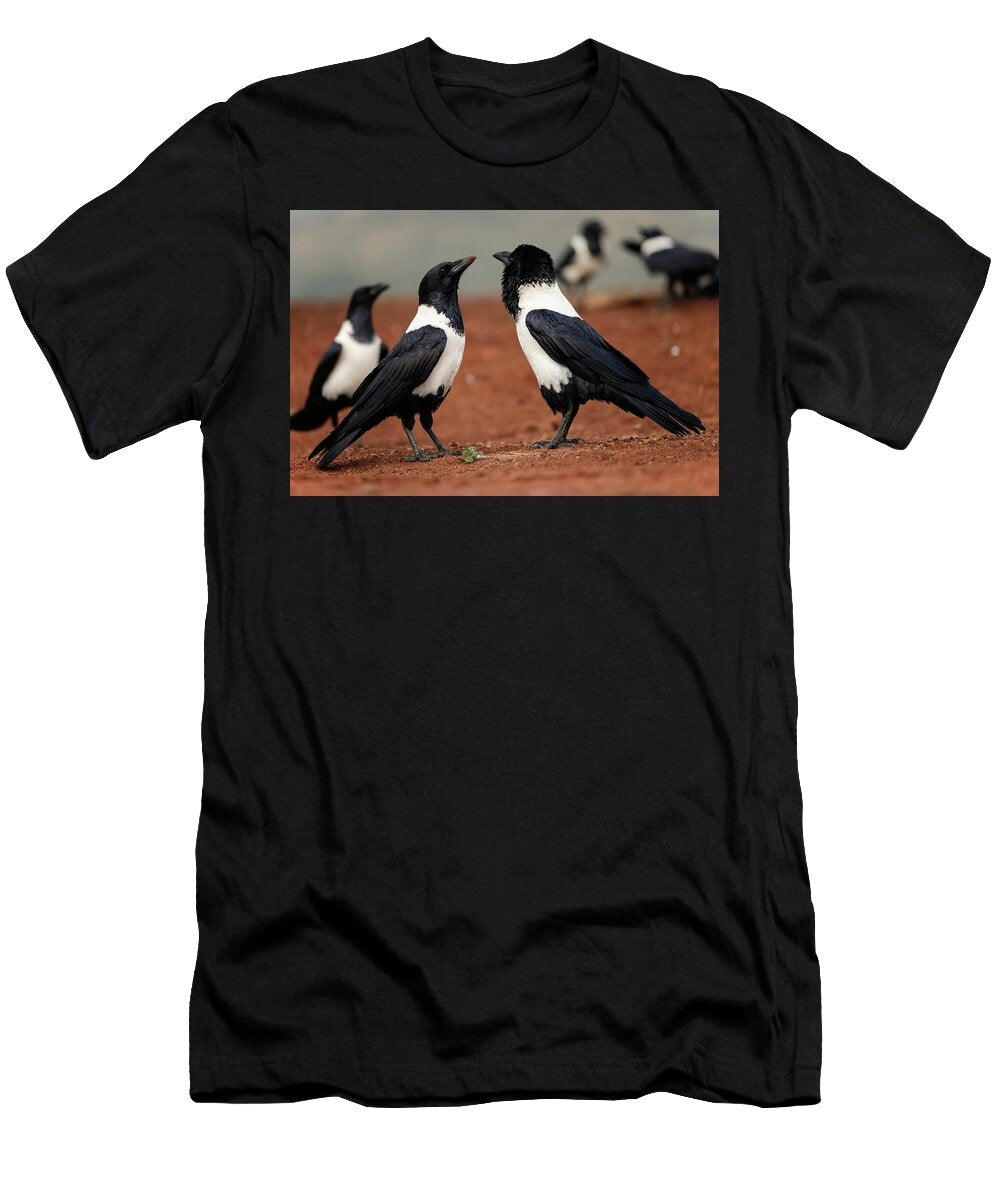 Pied Crows Courtship Display Zimanga Private Game Reserve Ann Steve Toon Natureplcom T-Shirt