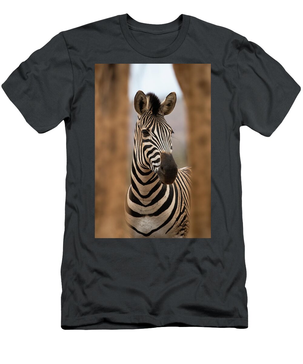 Plains Zebra Looking Through Legs of Giraffe Zimanga Game Ann Steve Toon Natureplcom T-Shirt