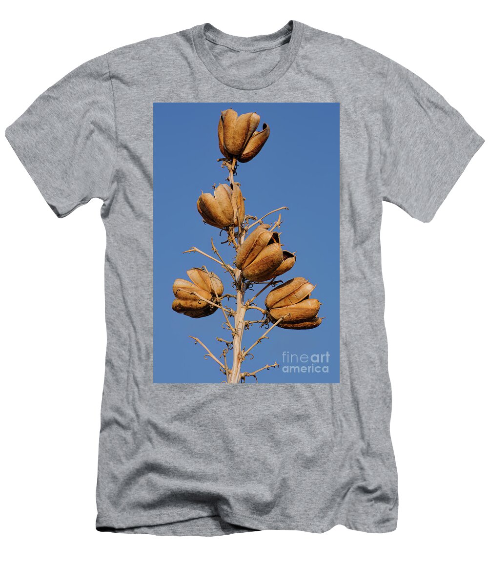 Pods Bob Phillips T-Shirt