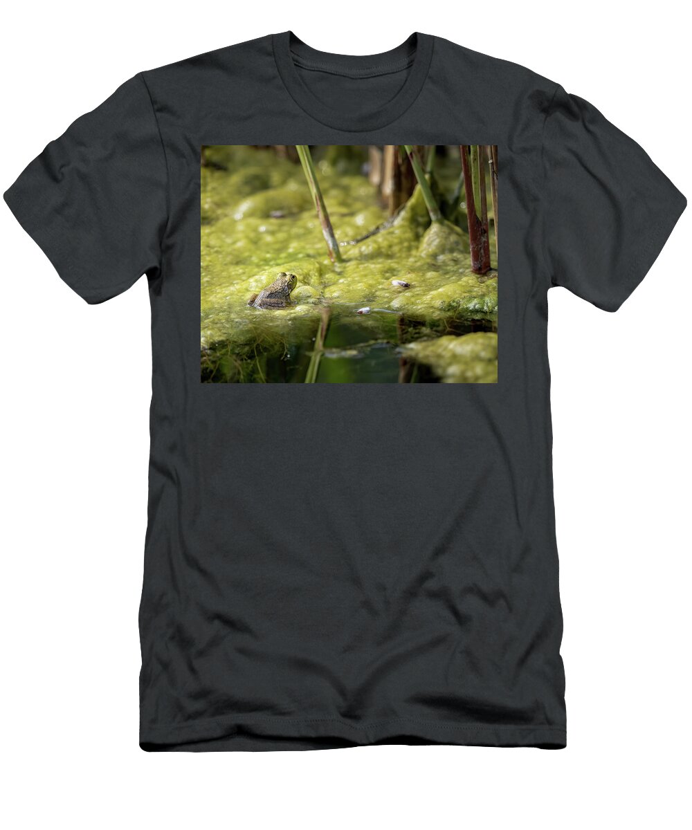 Pondering Frog Morey Gers T-Shirt