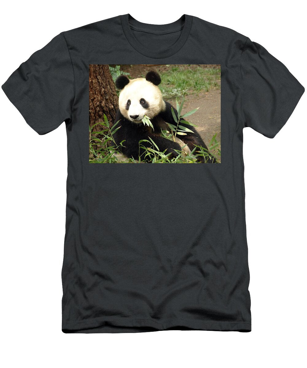 Precious Panda Jessica Foster T-Shirt