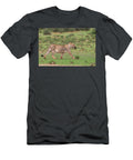 Pregnant Lioness Carrying Leopard Tortoise Kgalagadi Ann Steve Toon Natureplcom T-Shirt