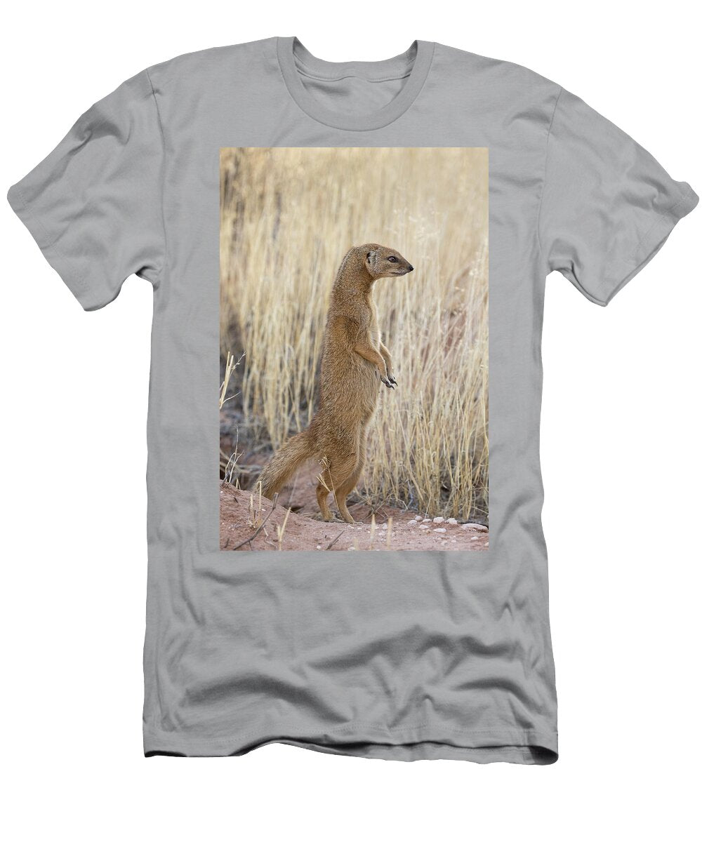 Pregnant Yellow Mongoose Standing on Hind Legs Kgalagadi Ann Steve Toon Natureplcom T-Shirt