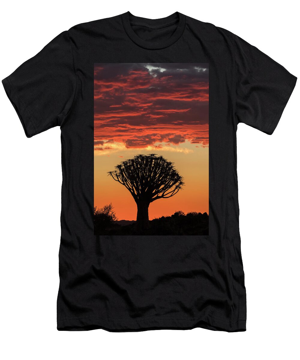 Quiver Tree Silhouetted At Sunset Quiver Tree Forest Ann Steve Toon Natureplcom T-Shirt