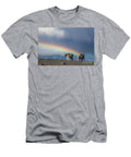 Rainbow on Beartooth Summit Leslie Wells T-Shirt