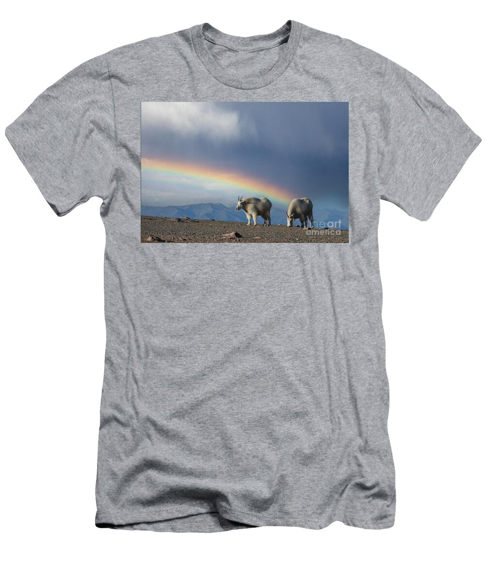 Rainbow on Beartooth Summit Leslie Wells T-Shirt