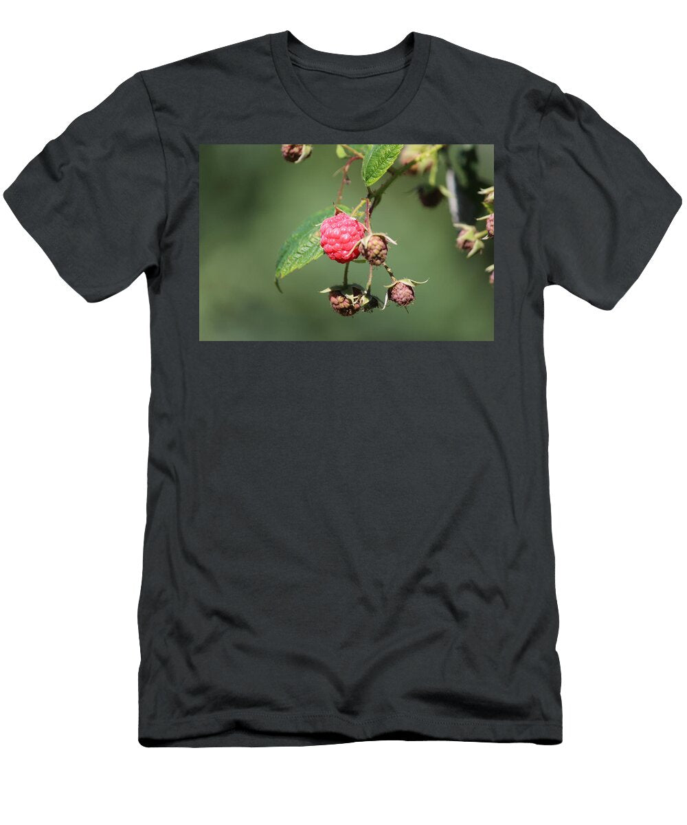 Raspberries Growing on a Bush with a Blurred Green Background Alisha Watson T-Shirt