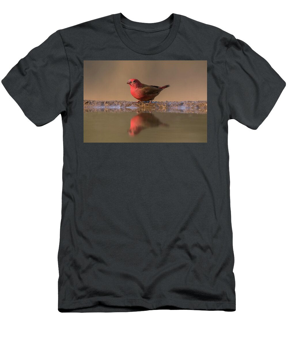 Red Billed Firefinch Zimanga Private Game Reserve Ann Steve Toon Natureplcom T-Shirt
