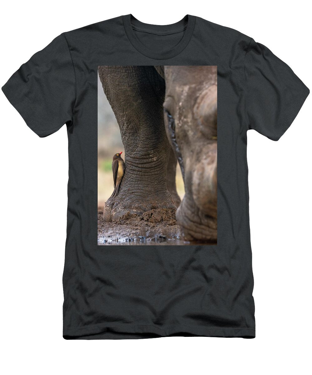 Red Billed Oxpecker Perched on Foot of White Rhinoceros Ann Steve Toon Natureplcom T-Shirt