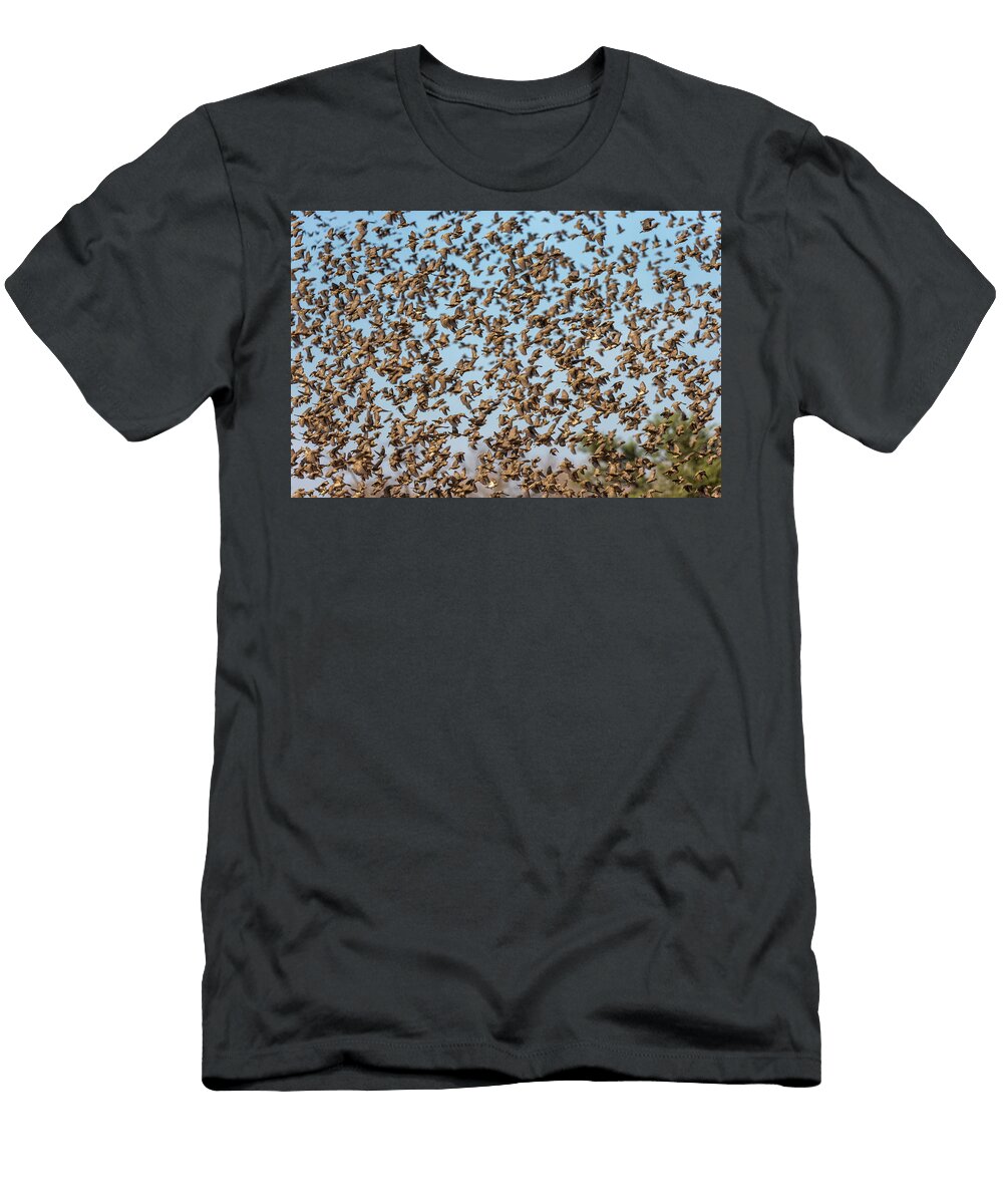 Red Billed Quelea Flock Mashatu Game Reserve Ann Steve Toon Natureplcom T-Shirt