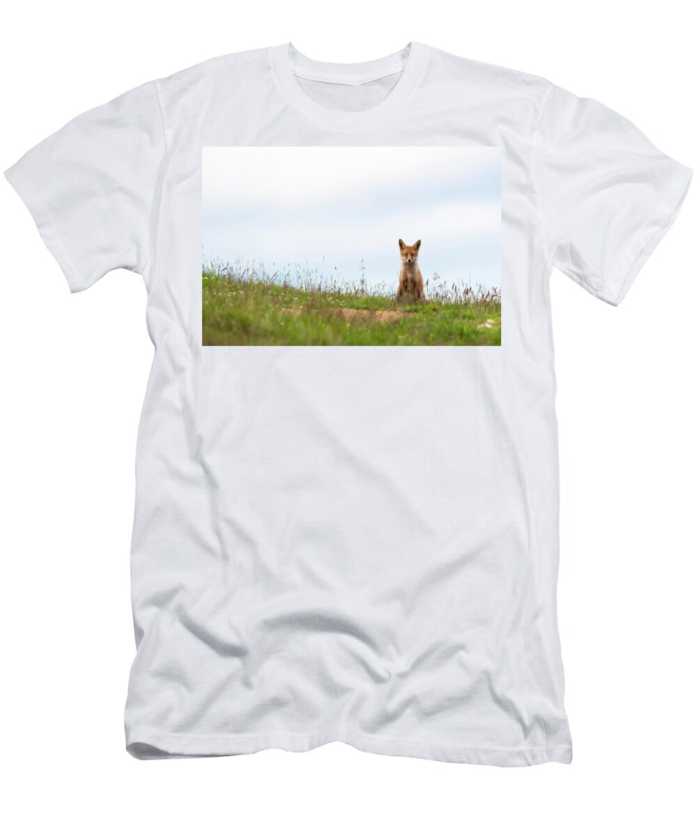 Red Fox Northumberland National Park UK Ann Steve Toon Natureplcom T-Shirt