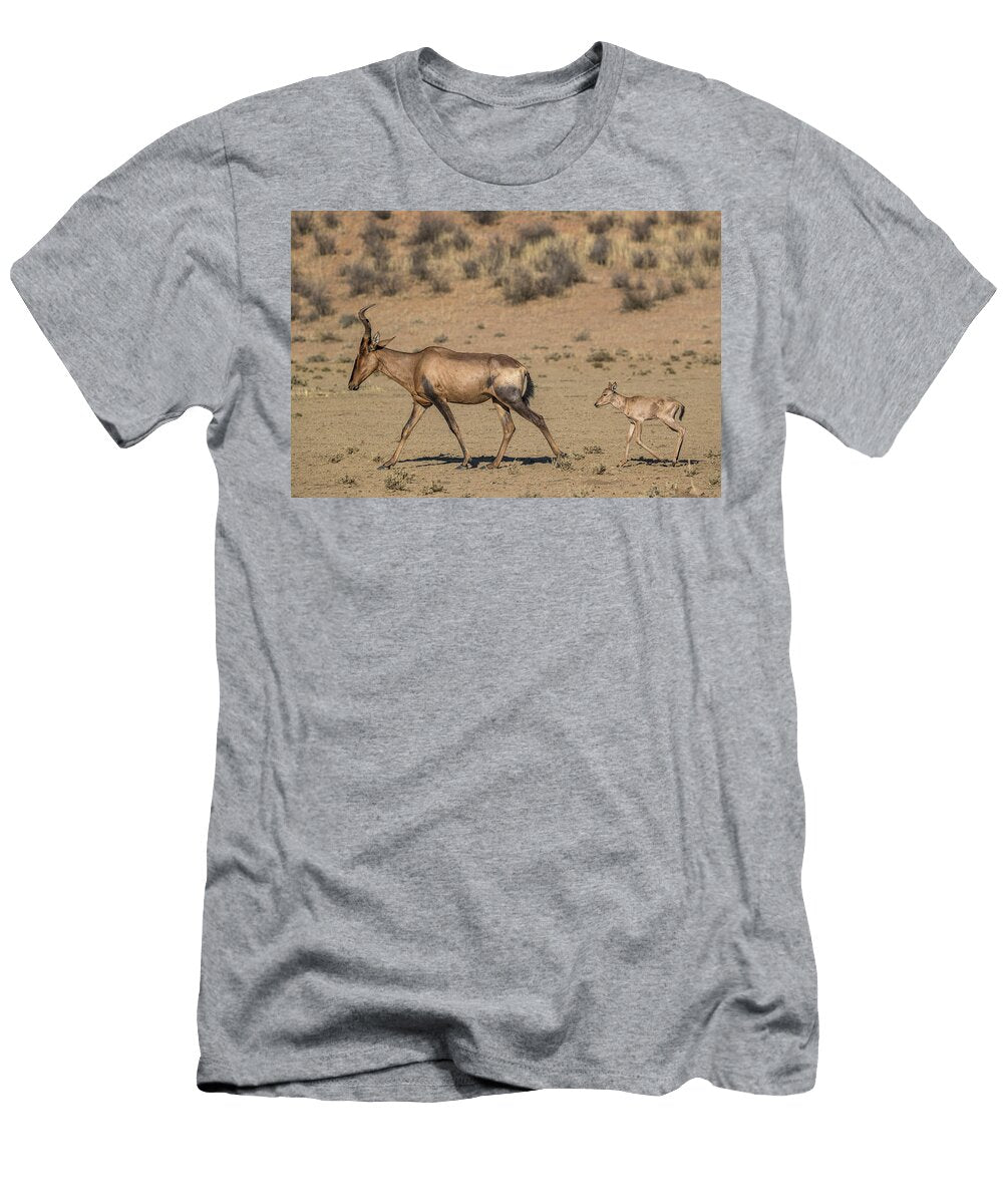 Red Hartebeest with Young Kgalagadi Transfrontier Park Ann Steve Toon Natureplcom T-Shirt
